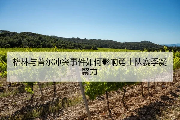 ge-lin-yu-pu-er-chong-tu-shi-jian-ru-he-ying-xiang-yong-shi-dui-sai-ji-ning-ju-li-2-557.jpg
